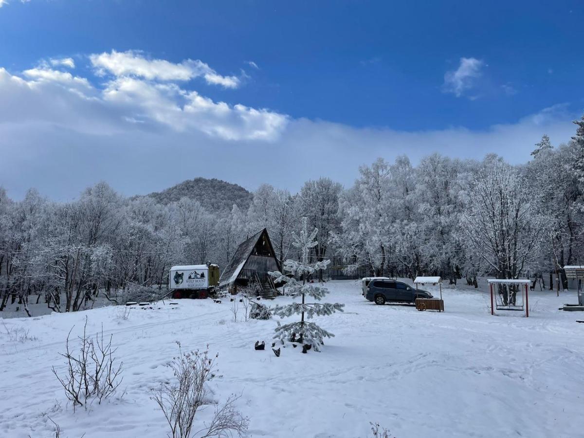 Villa Glamping Wolf Mount à Margahovit Extérieur photo